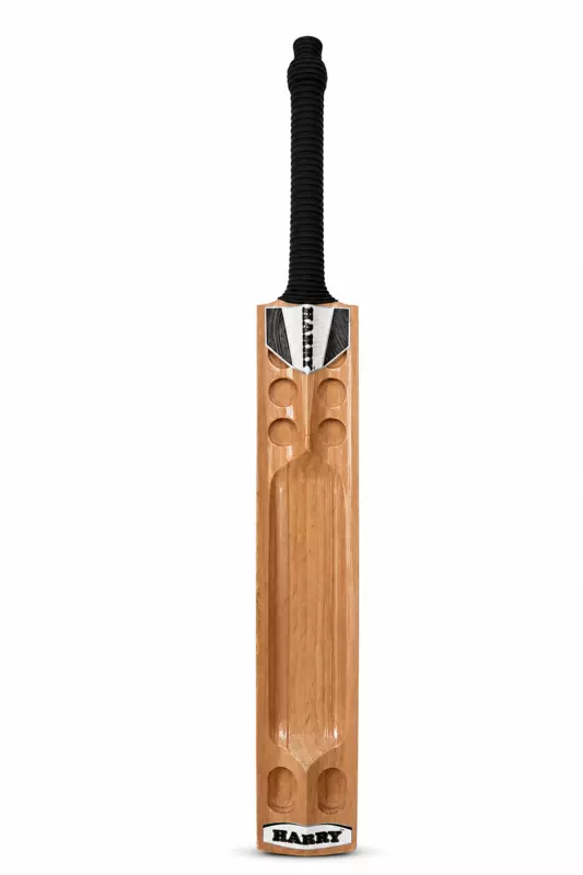 The Game Changer Bat For Hard Tennis @ HARRY-SPORTS